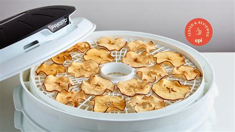 Best Food Dehydrator (2021) for Dried Fruit, Jerky, .
